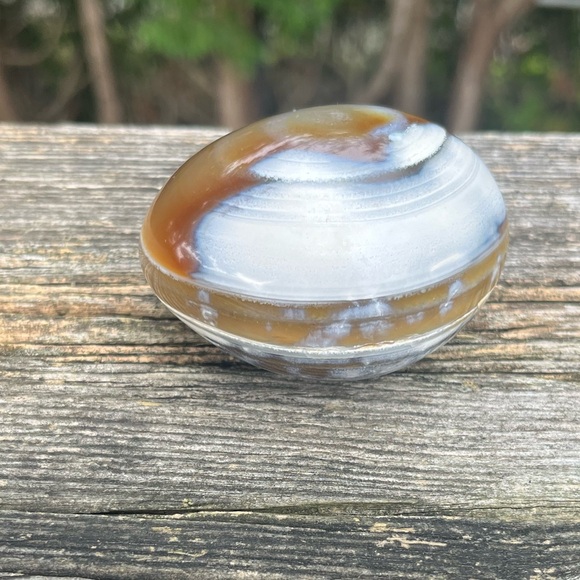 Orca Agate Palm - Picture 6 of 8